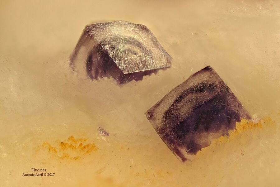 Fluorita
3,5 x 3 x 1 cm
(Autor: Antonio Alcaide)
