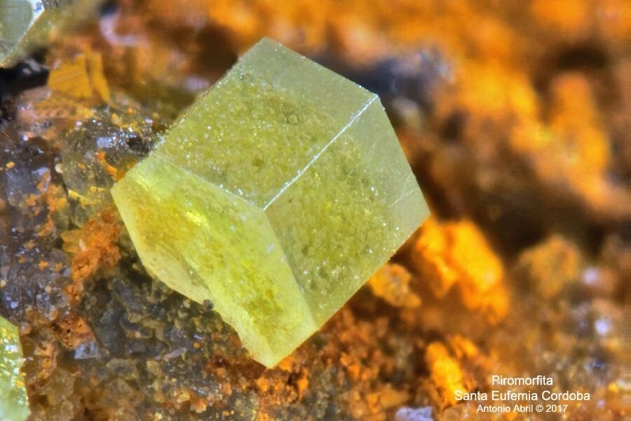 Piromorfita
FOV = 3 mm
(Autor: Antonio Alcaide)