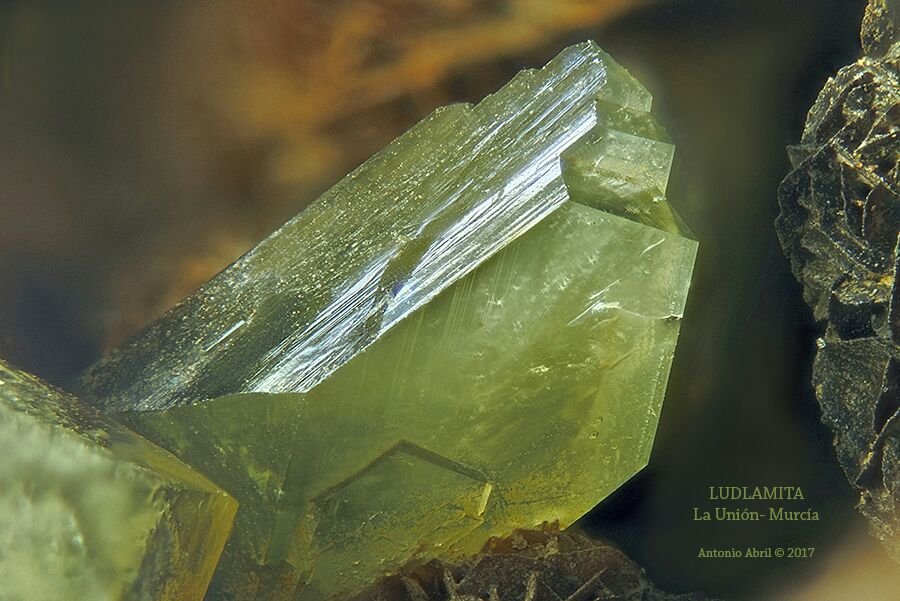 Ludlamita
FOV = 2 mm
(Autor: Antonio Alcaide)