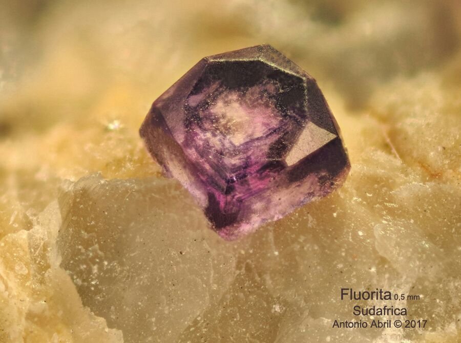 Fluorita
FOV = 1,5 mm
(Autor: Antonio Alcaide)