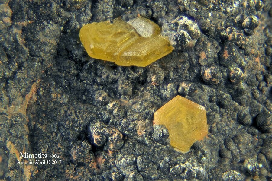 Mimetita
FOV = 1,5 mm
(Autor: Antonio Alcaide)