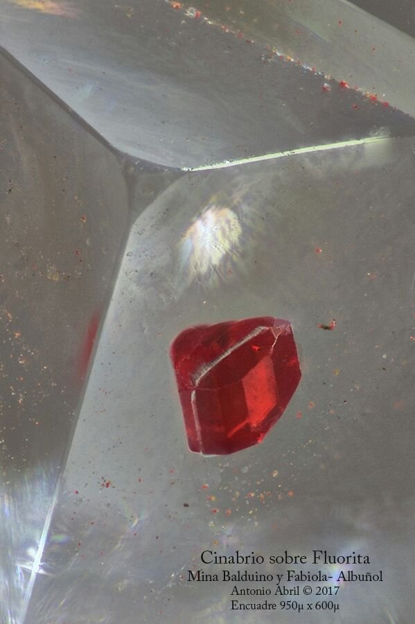 Cinabrio y Fluorita
FOV = 1 x 0,5 mm
(Autor: Antonio Alcaide)