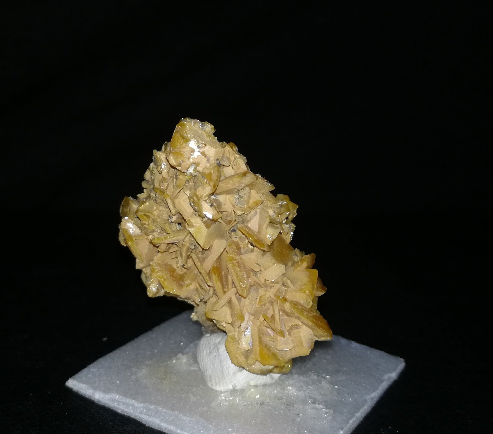 Wulfenita
3,5cm x 3,5cm
(Autor: srm13151)