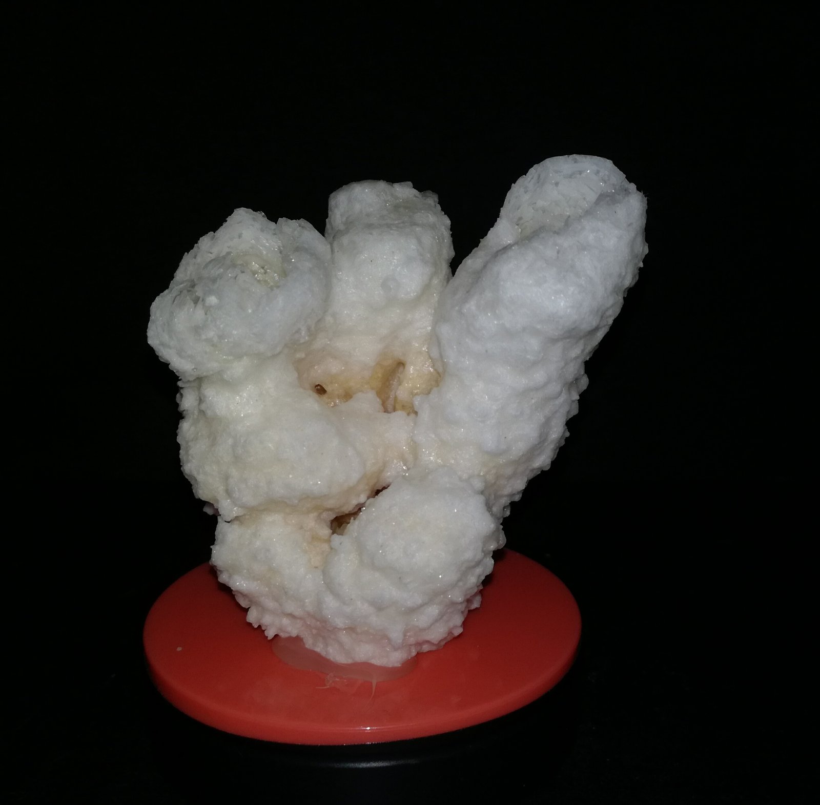 Halita
6cm x 6cm
(Autor: srm13151)