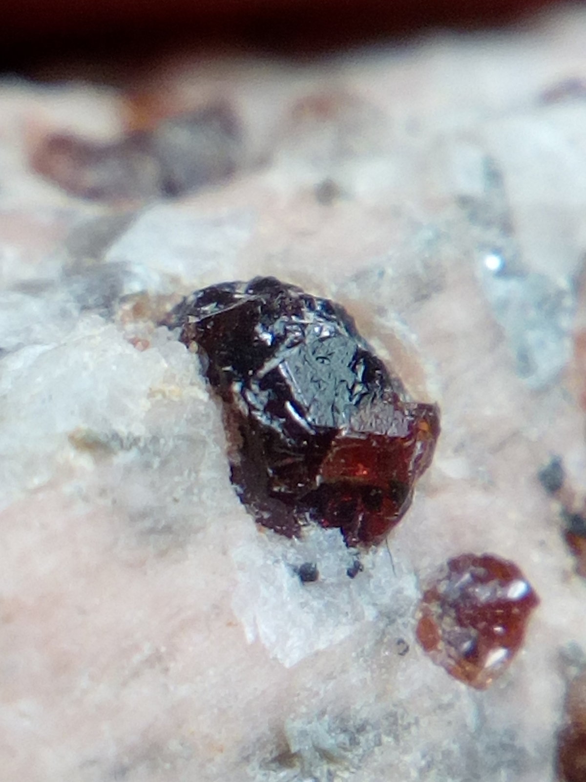 Almandino (grupo granate)
3 mm
(Autor: Iwok)