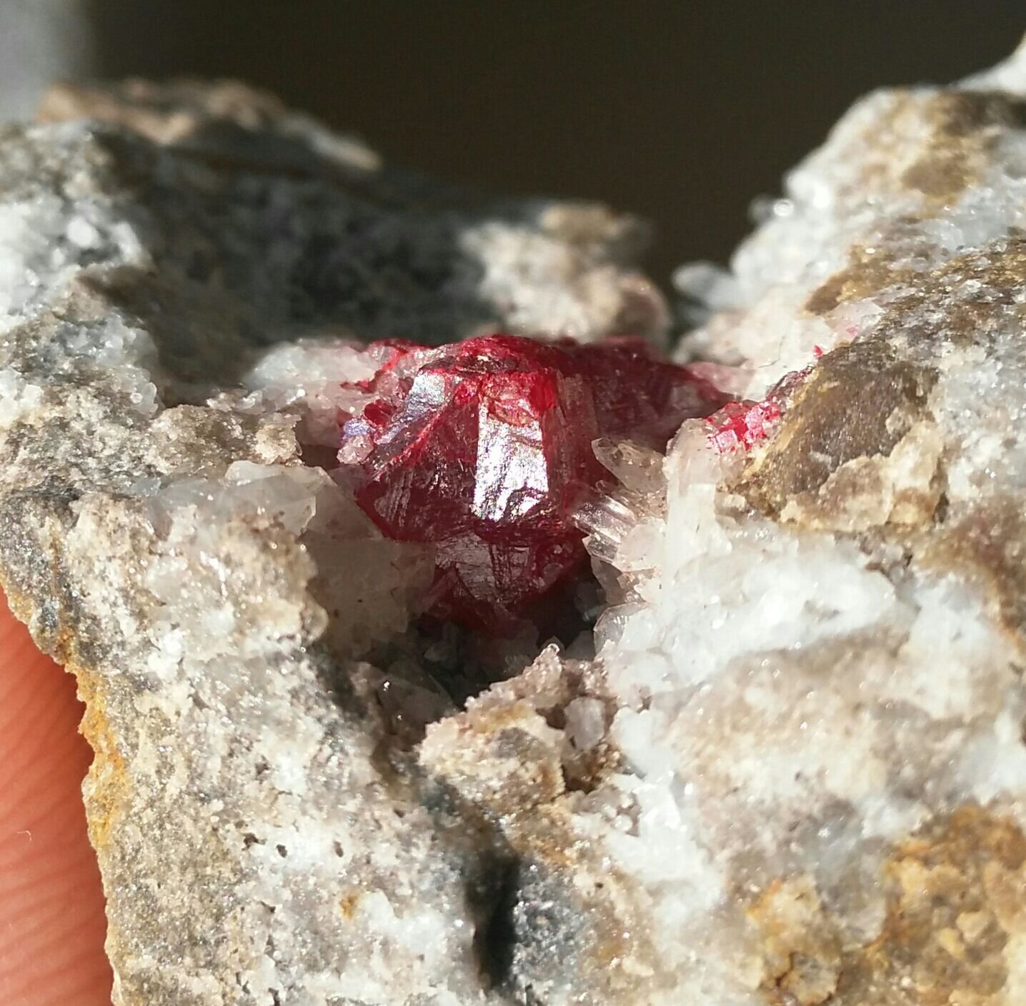 Cinabrio
8 cm X 6 cm
(Autor: Javi Llamazares)