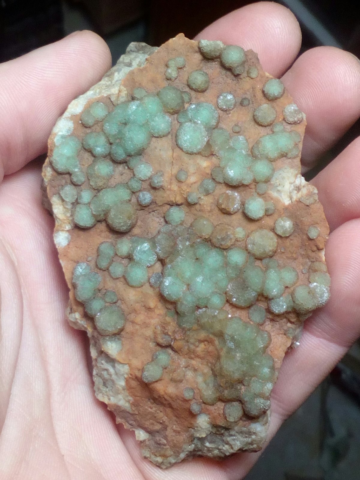 Fluorita
9,7 x 6,1 x 2,8 cm
(Autor: Iwok)