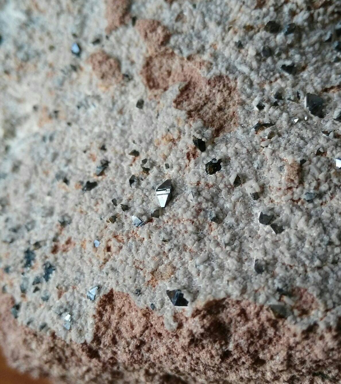 Anatasa
11 cm x 7 cm
(Autor: Javi Llamazares)