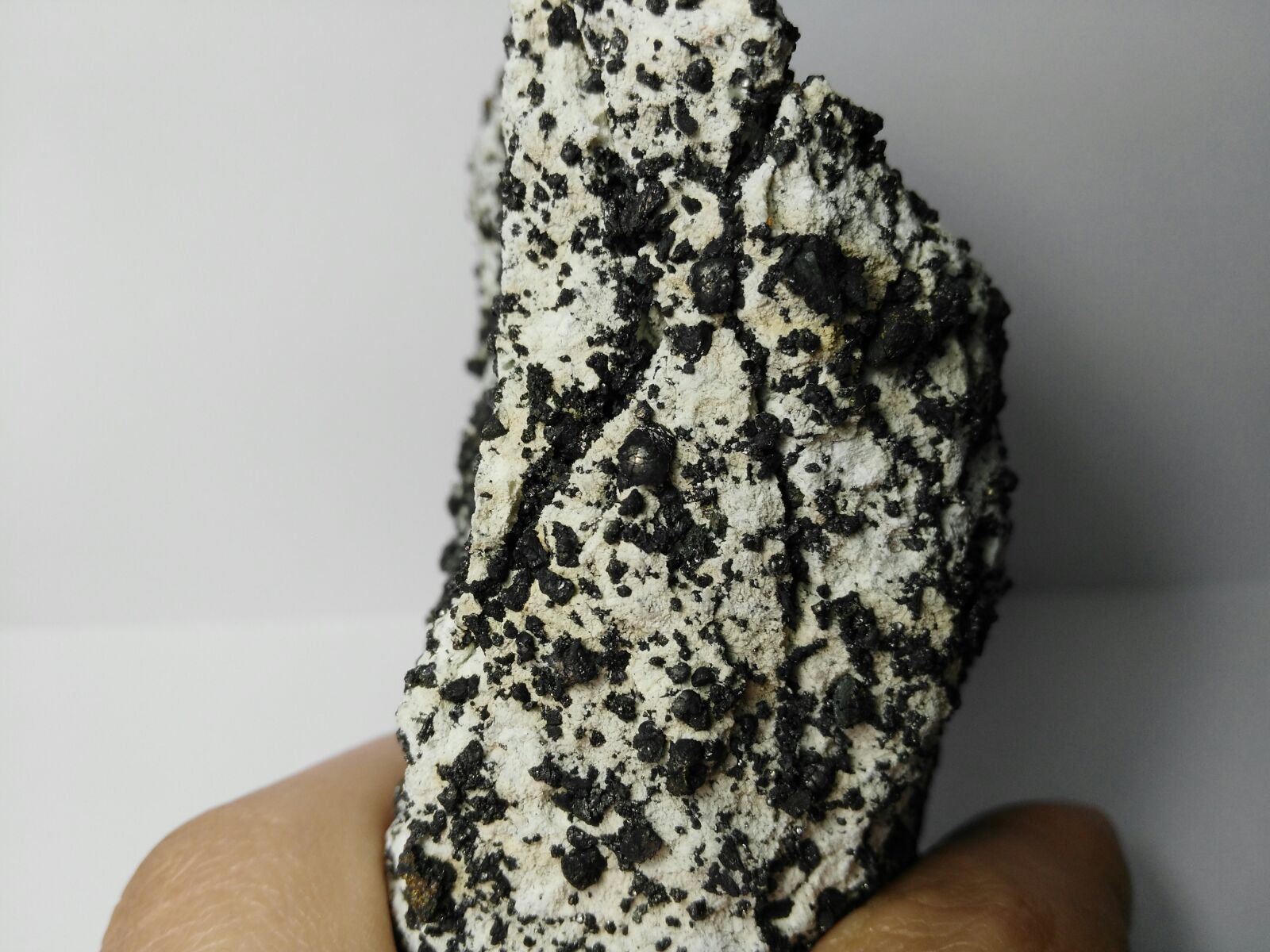 Villamaninita
8 cm x 5 cm
(Autor: Javi Llamazares)