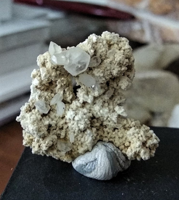 Stokesita
Tamaño pieza 4,9x 3,3 cms
(Autor: Gelo)