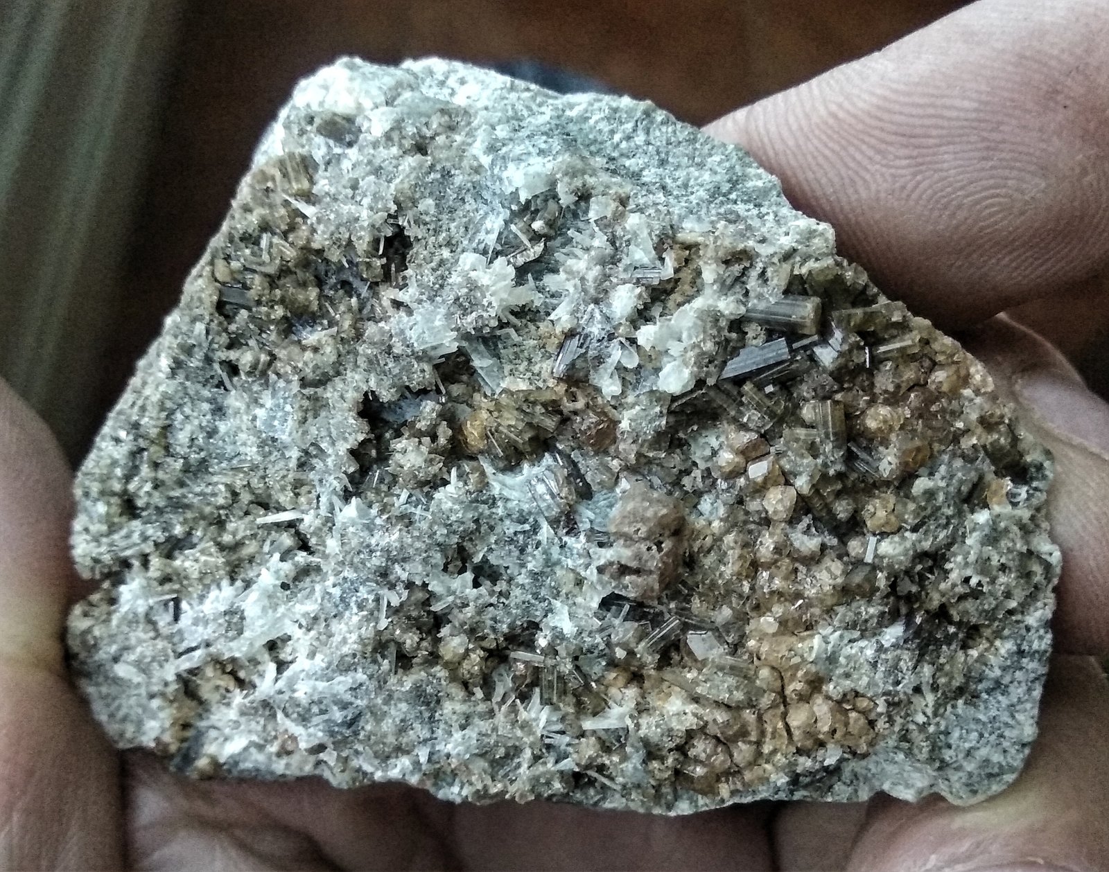 Vesuvianita (Vesubiana), Grossularia (Grosularia) y Wollastonita
Pieza 7,2x5, 8 cms
(Autor: Gelo)
