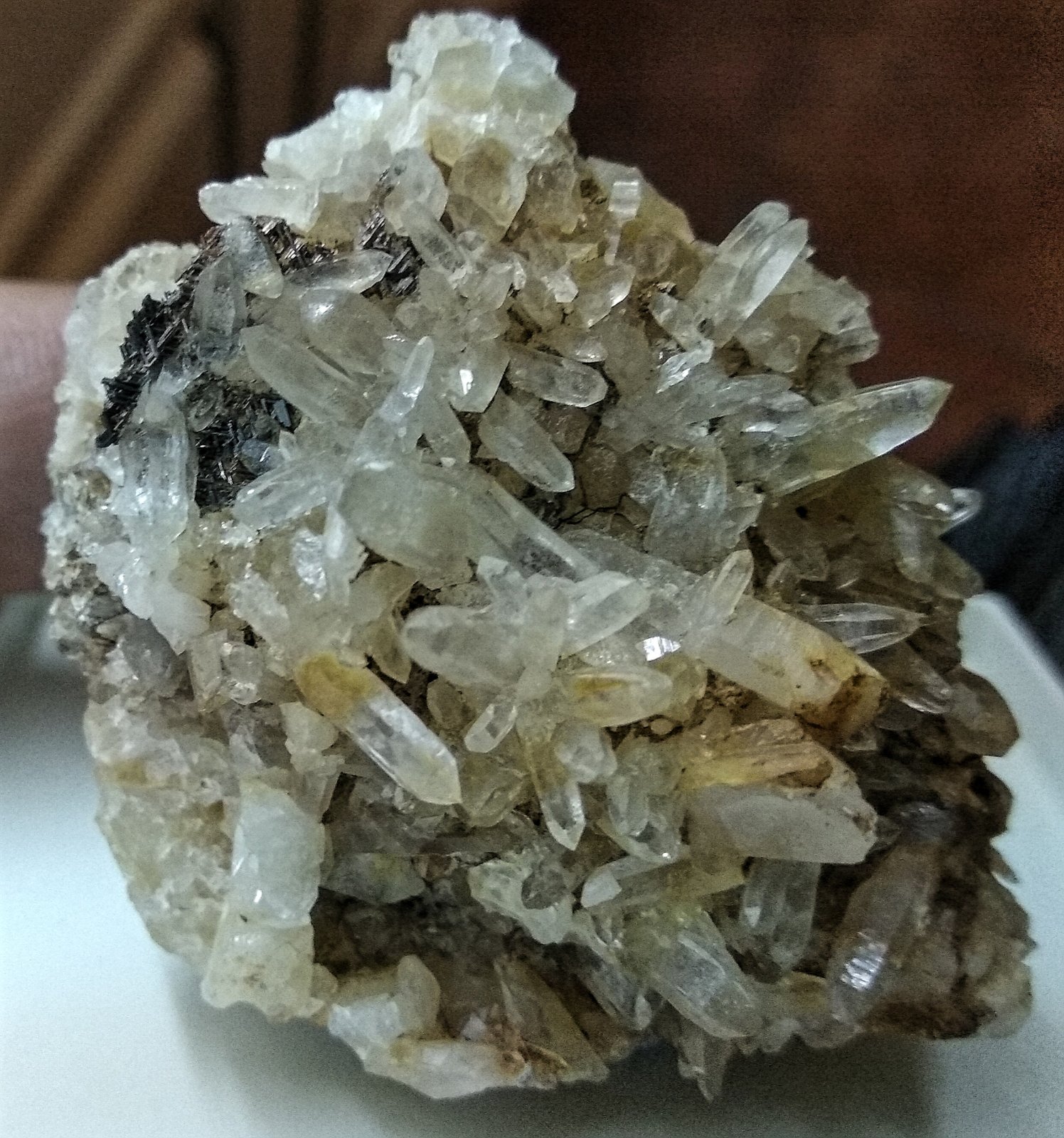 Cuarzo y Rutilo (variedad sagenita)
Los cristales de Rutilo Sagenita tienen 2,3 cms.
(Autor: Gelo)