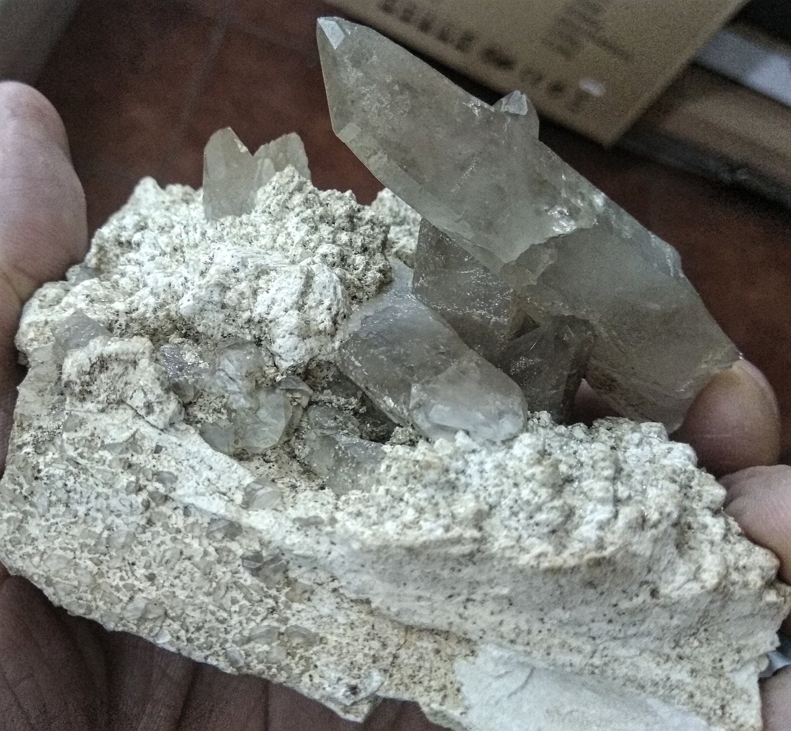 Cuarzo (variedad ahumado) y Ortoclasa
Cuarzo más grande 6,9 cms.
(Autor: Gelo)