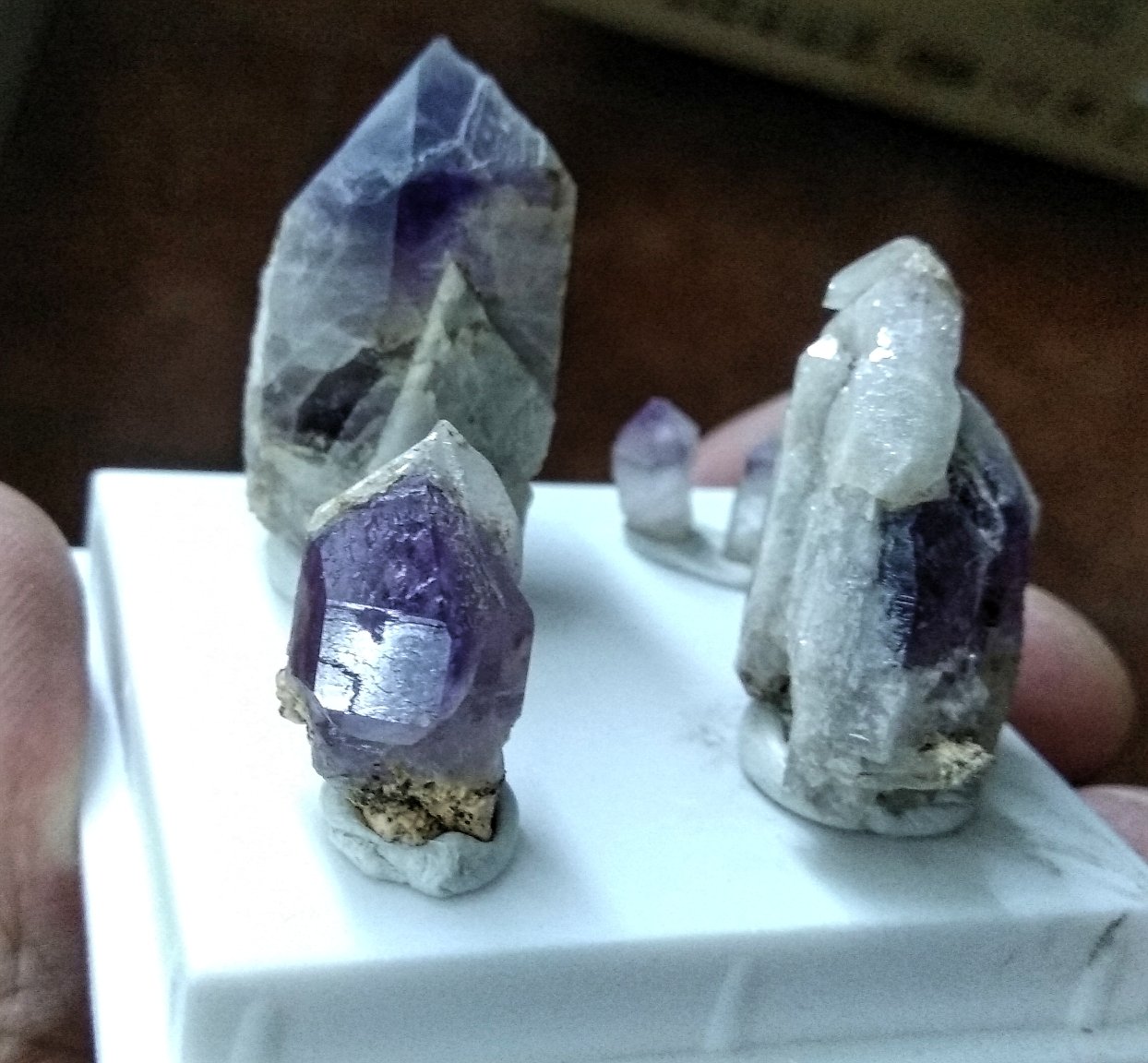 Cuarzo (variedad amatista).
Cristal más grande 5,1x2,7 cms.
(Autor: Gelo)