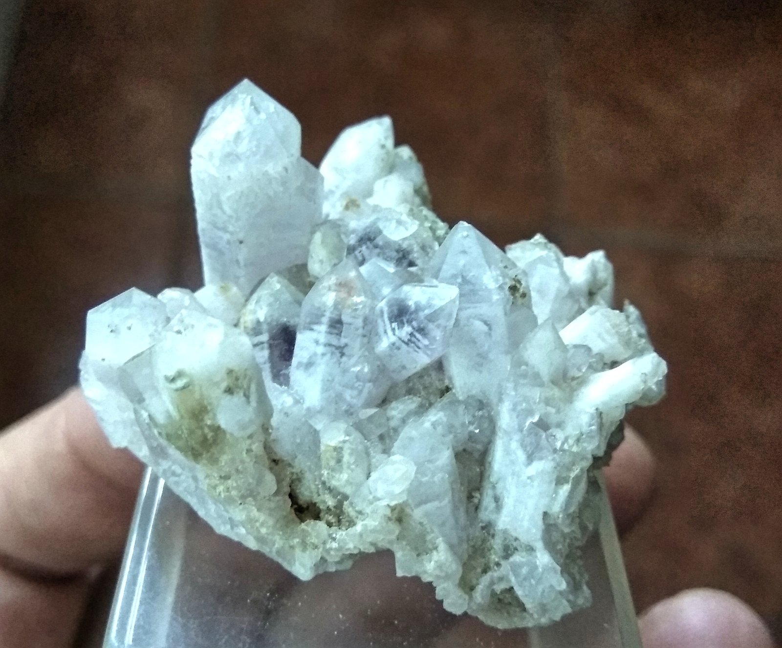 Cuarzo
Tamaño pieza 5,9x4,1 cms.
(Autor: Gelo)