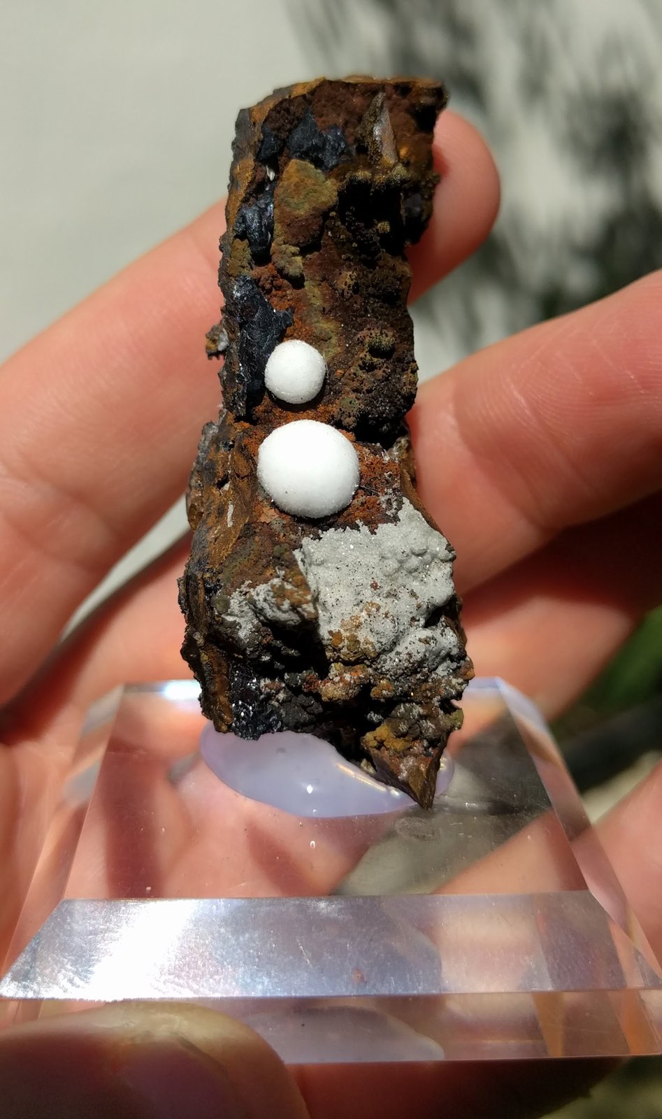 Hemimorfita
7,5 x 3,0 cm.
(Autor: carles)