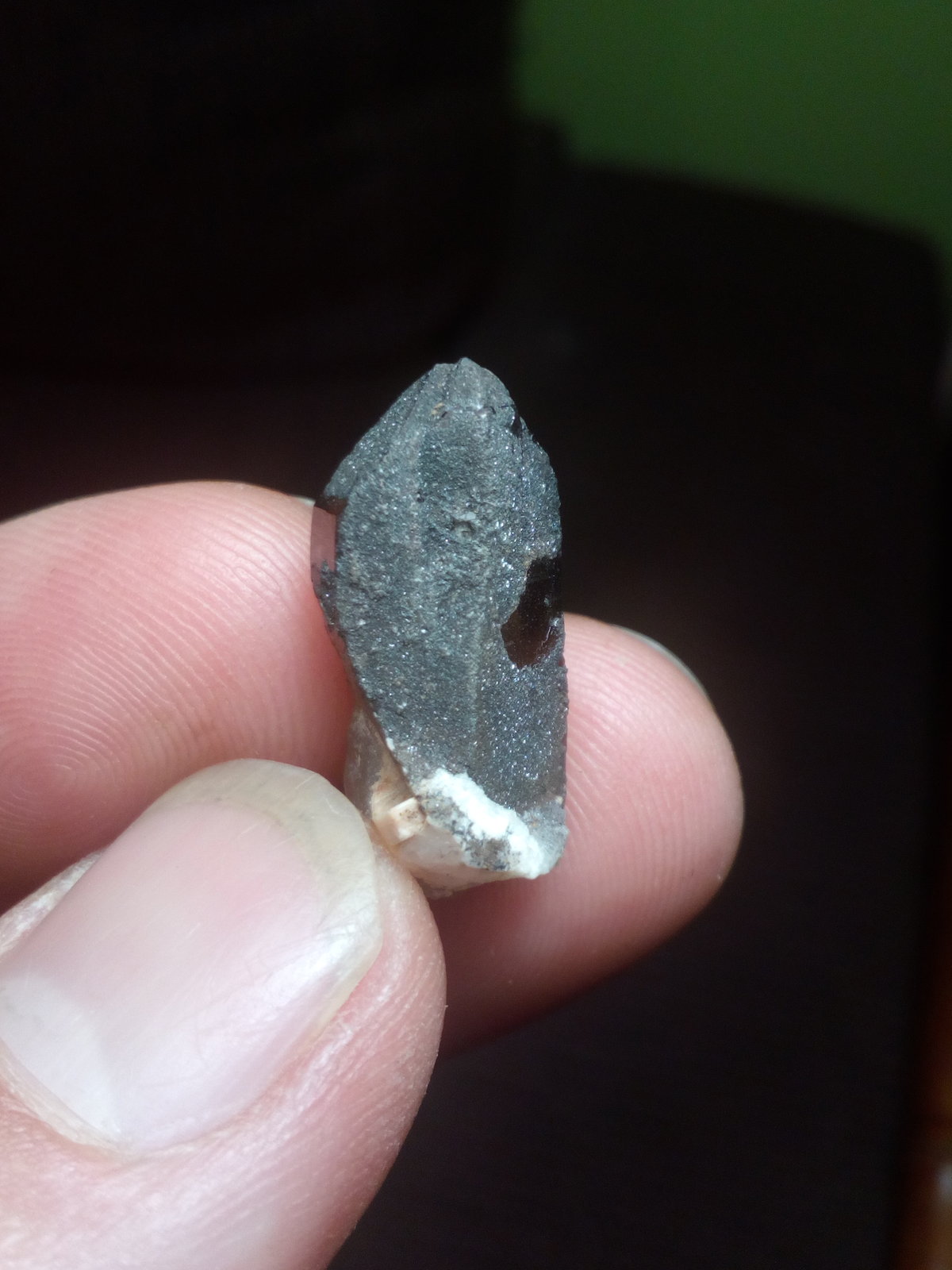 Cuarzo (variedad ahumado)
1,3 x 2,4 cm
(Autor: Iwok)
