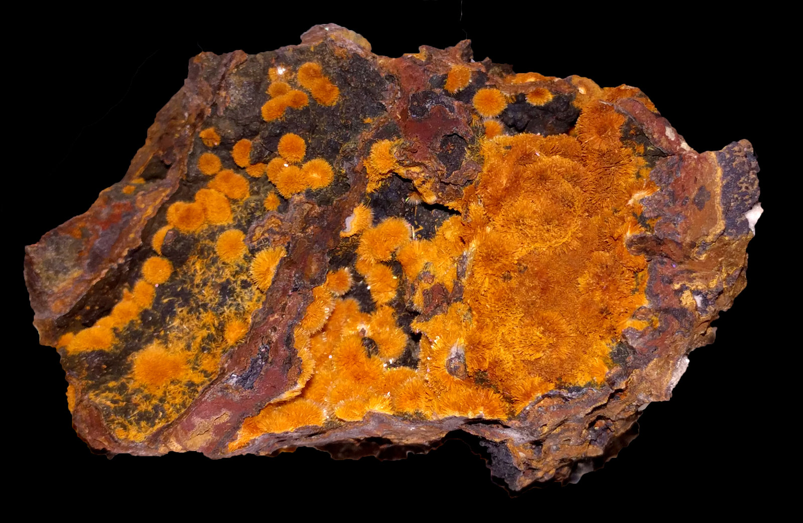 Hemimorfita
5,5 x 3,0 cm.
(Autor: carles)