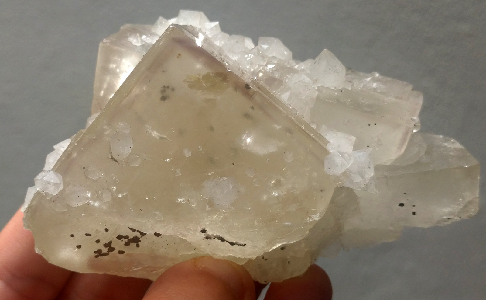 Fluorita, Cuarzo, Pirita
9,5 x 6,5 cm.
(Autor: carles)