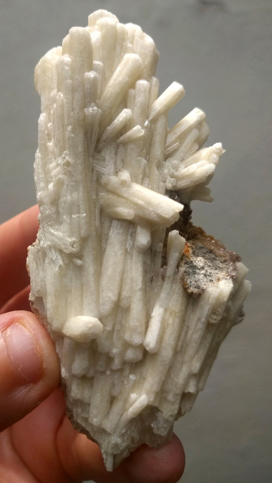Aragonito (variedad tarnowitzita)
9,9 x 5,3 cm.
(Autor: carles)