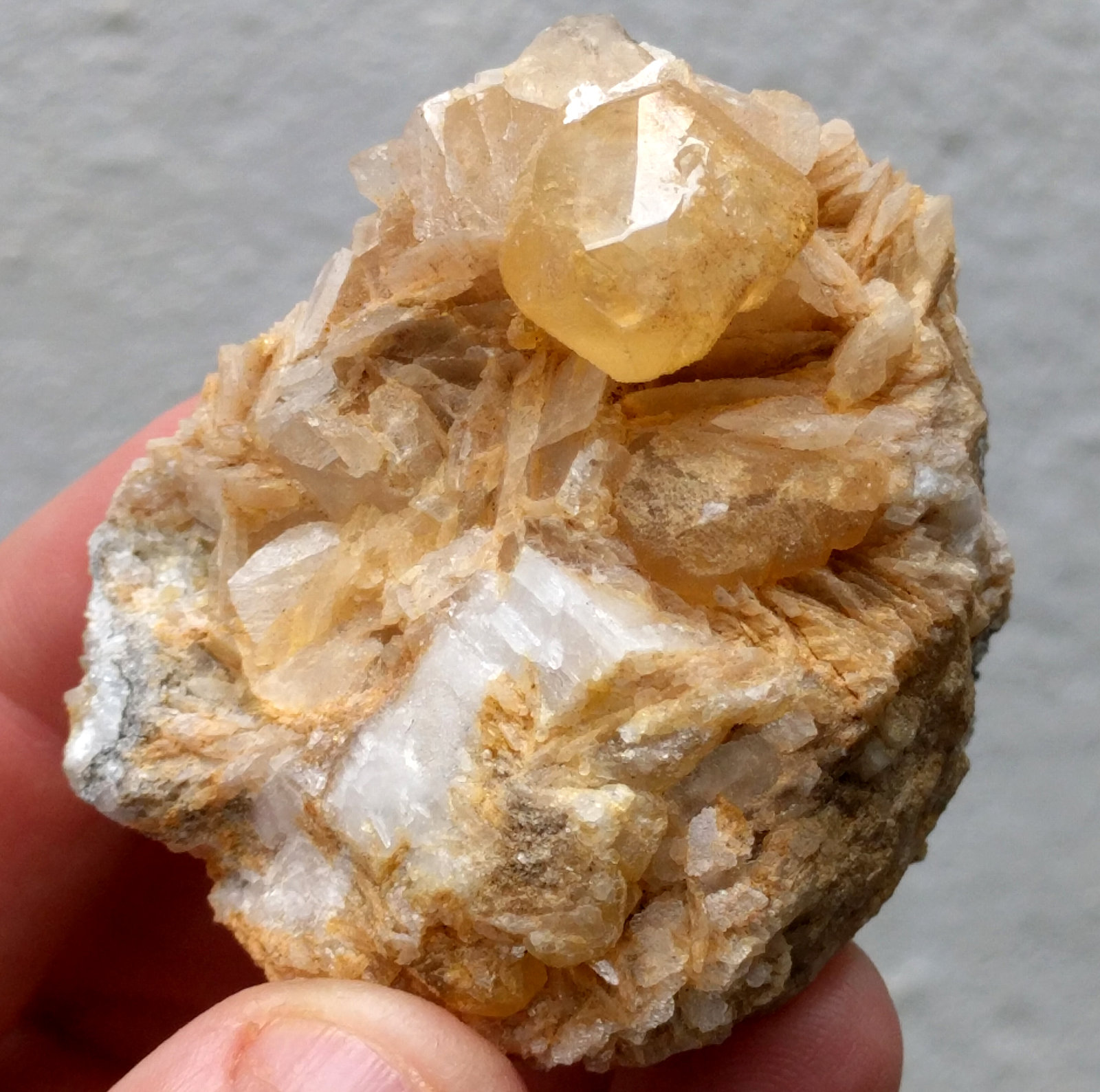 Calcita, Magnesita
5,3 x 5,0 cm.
(Autor: carles)
