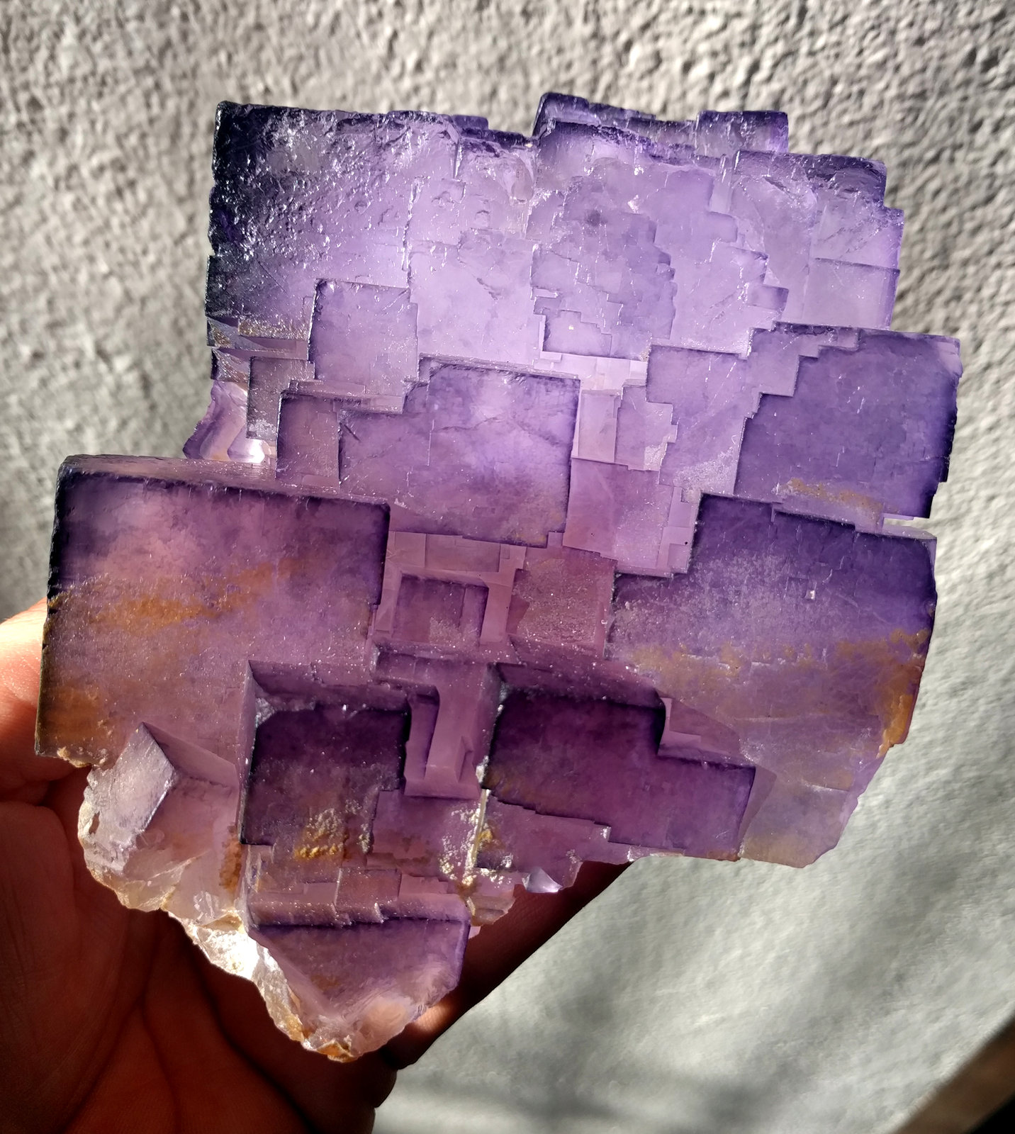 Fluorita
10,5 x 13,5 cm.
(Autor: carles)