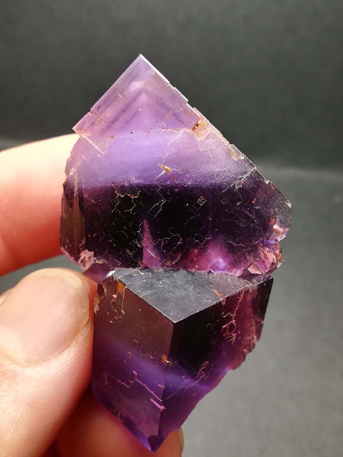 Fluorita
3 x 5,2 cm
(Autor: Iwok)