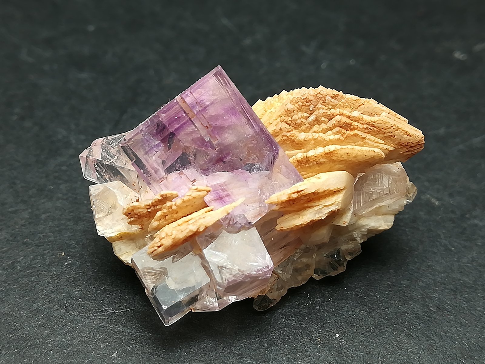 Fluorita y Barita
2,6 x 1,6 cm
(Autor: Iwok)