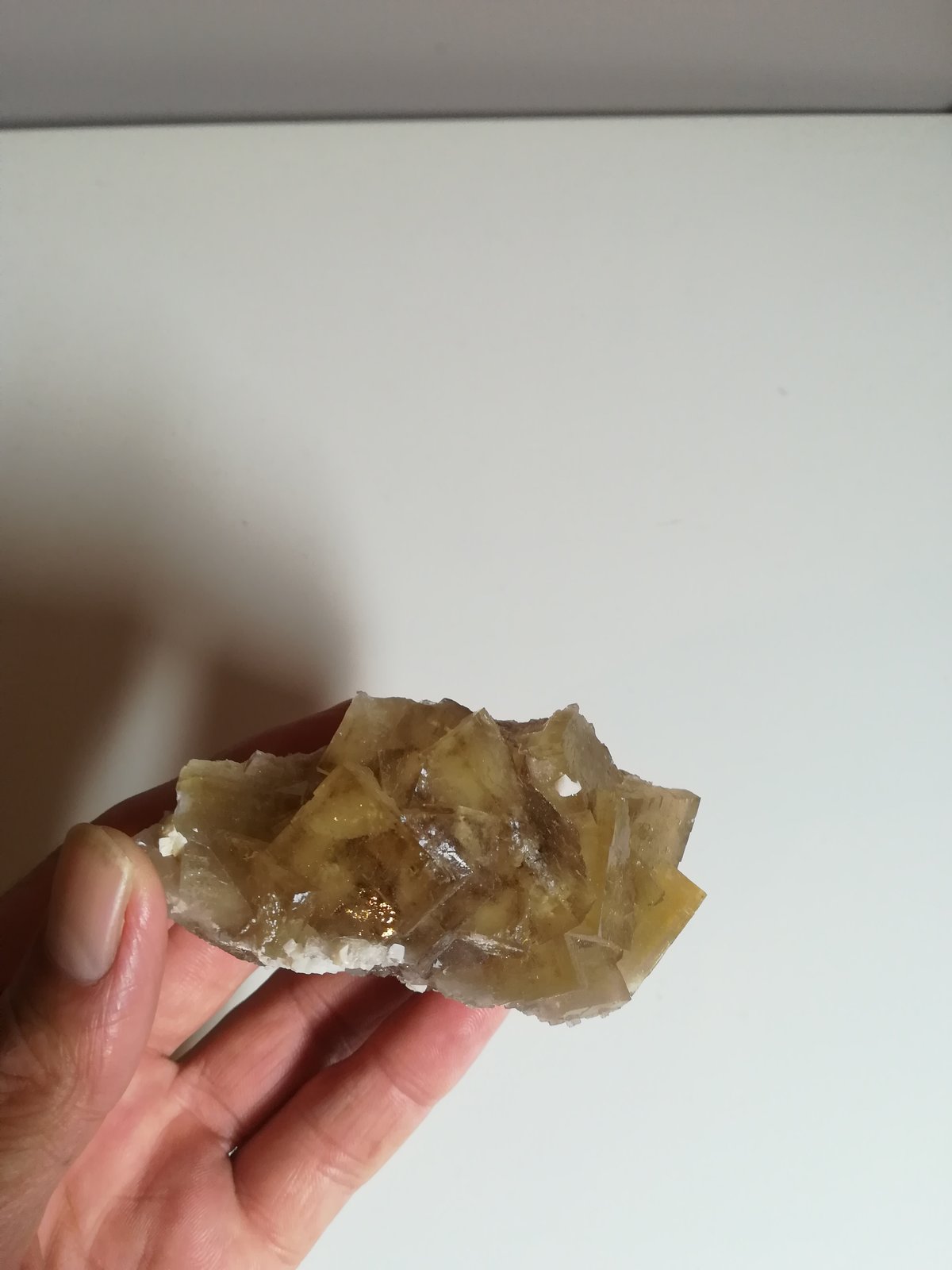 Fluorita
8x6 cm aprox
(Autor: ximocompany)