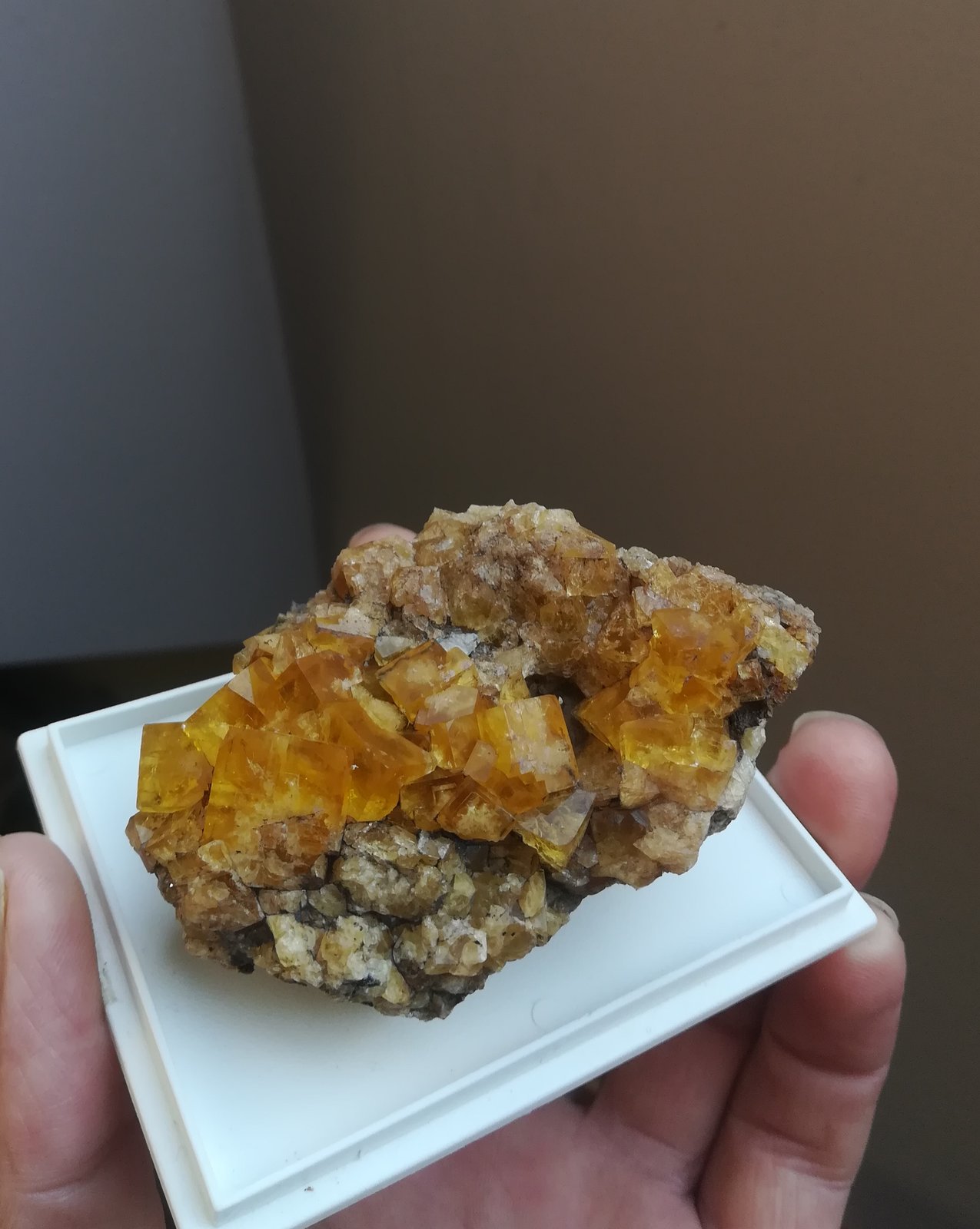 Fluorita
8x4 cm aprox
(Autor: ximocompany)