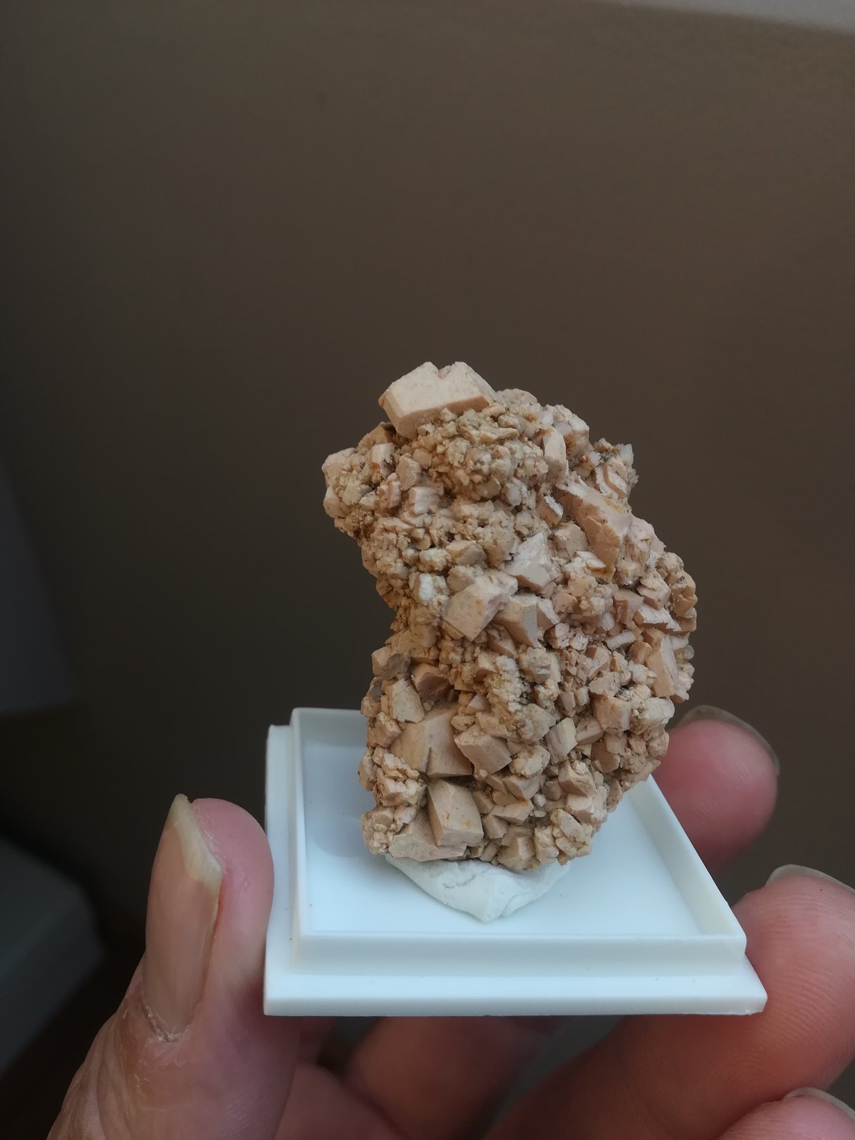Microclina
4,5x3 cm aprox
(Autor: ximocompany)