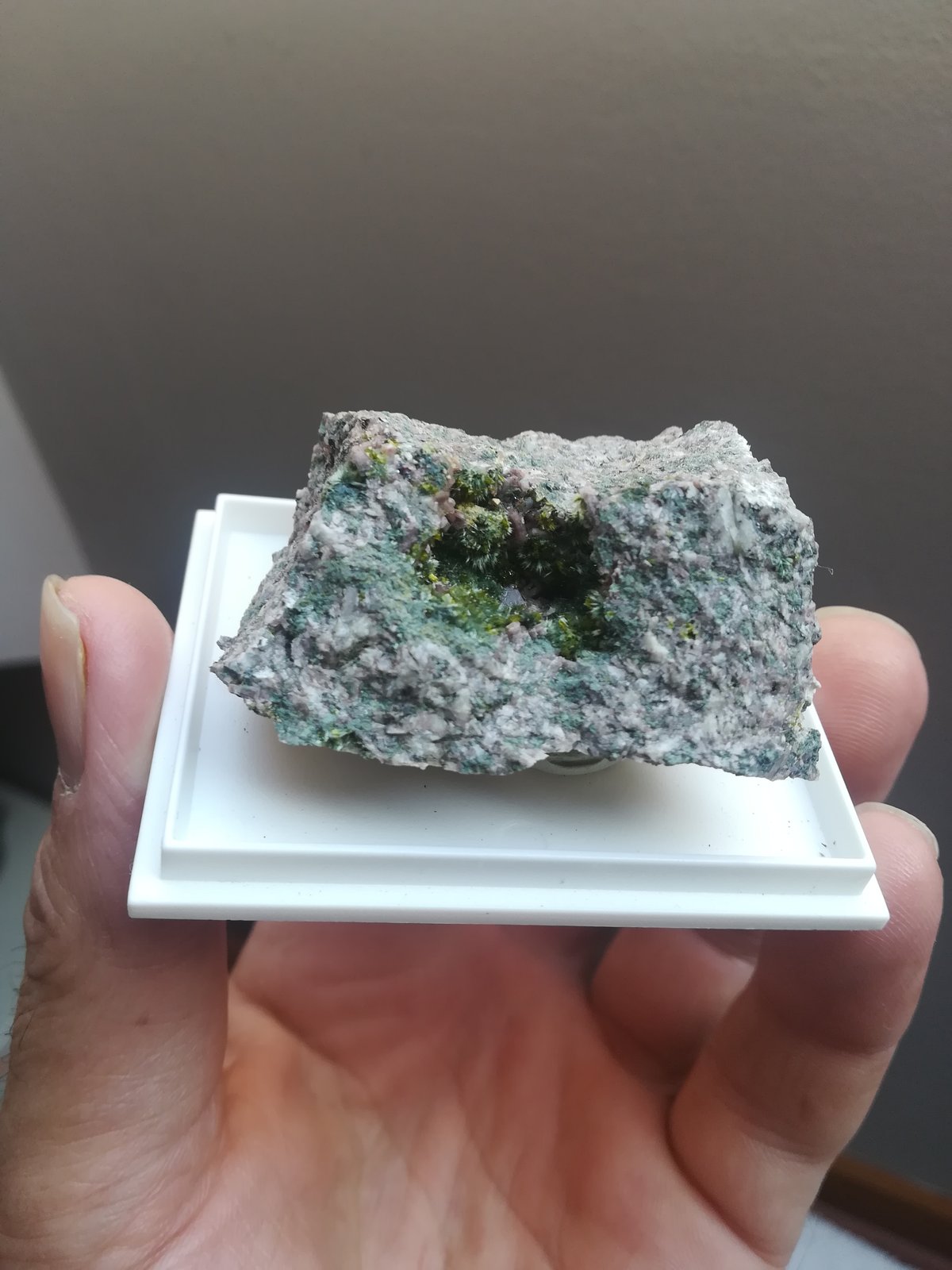 Clinozoisita, Pumpellita y Oligoclasa
6x4 cm aprox
(Autor: ximocompany)