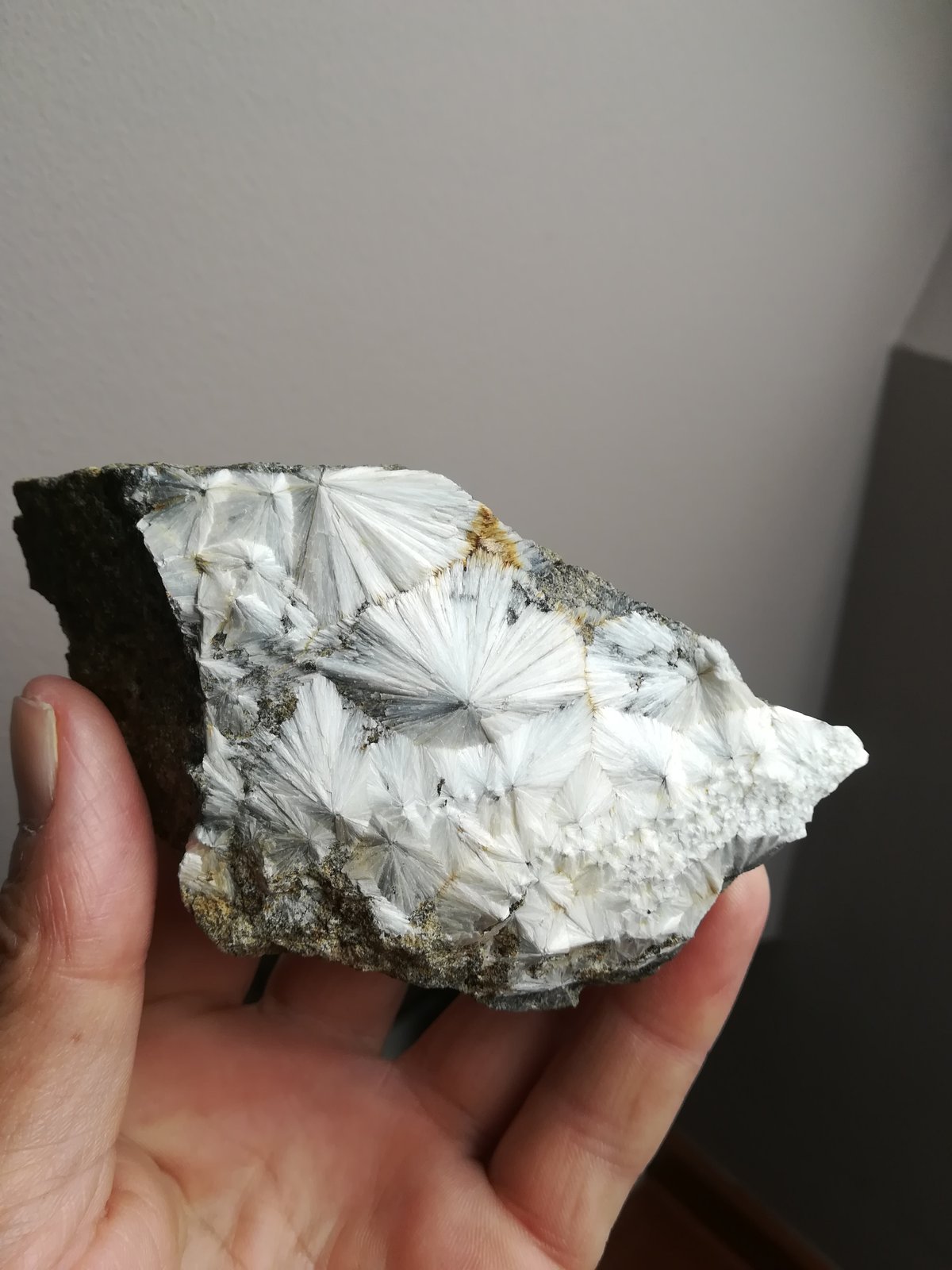 Escolecita
10x7 cm aprox
(Autor: ximocompany)