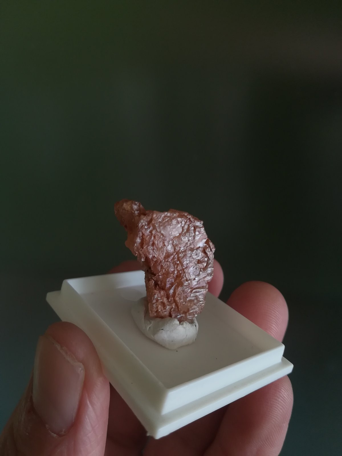 Scheelita
3x2,5 cm aprox
(Autor: ximocompany)