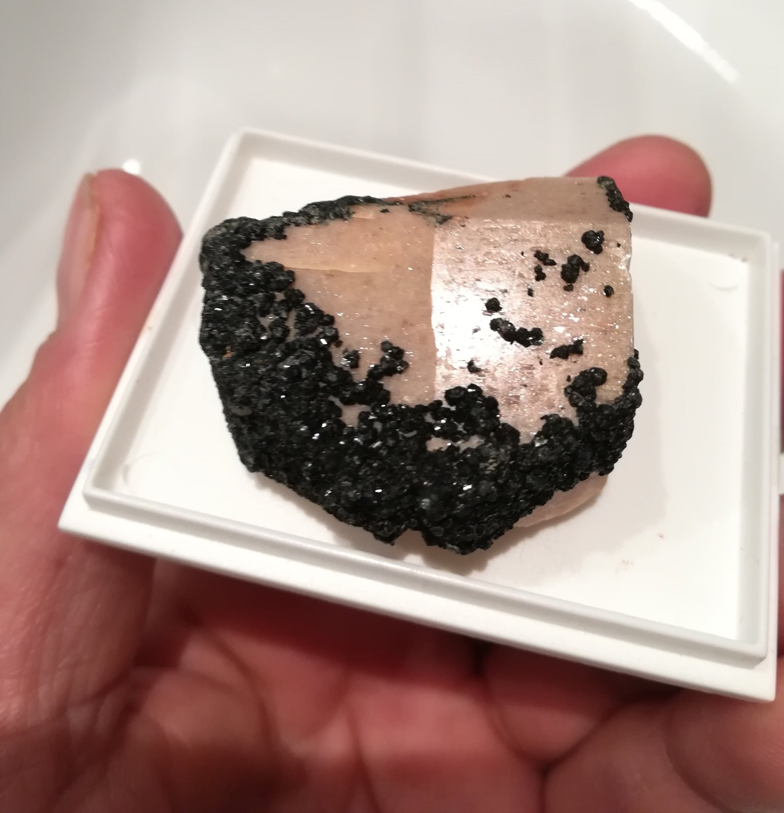 Chamosita
4,5x4 cm aprox
(Autor: ximocompany)