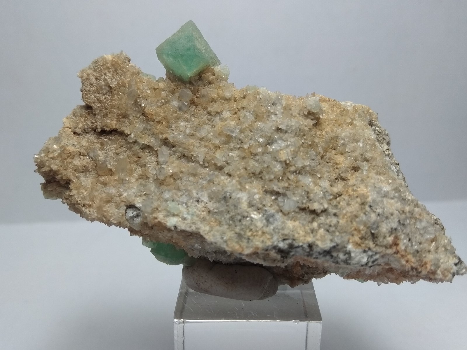 Fluorita y Cuarzo
6,3 x 3,2 cm
(Autor: Iwok)