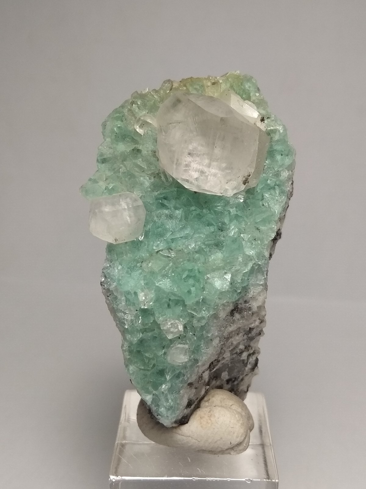 Calcita sobre Fluorita
2,8 x 5 cm
(Autor: Iwok)