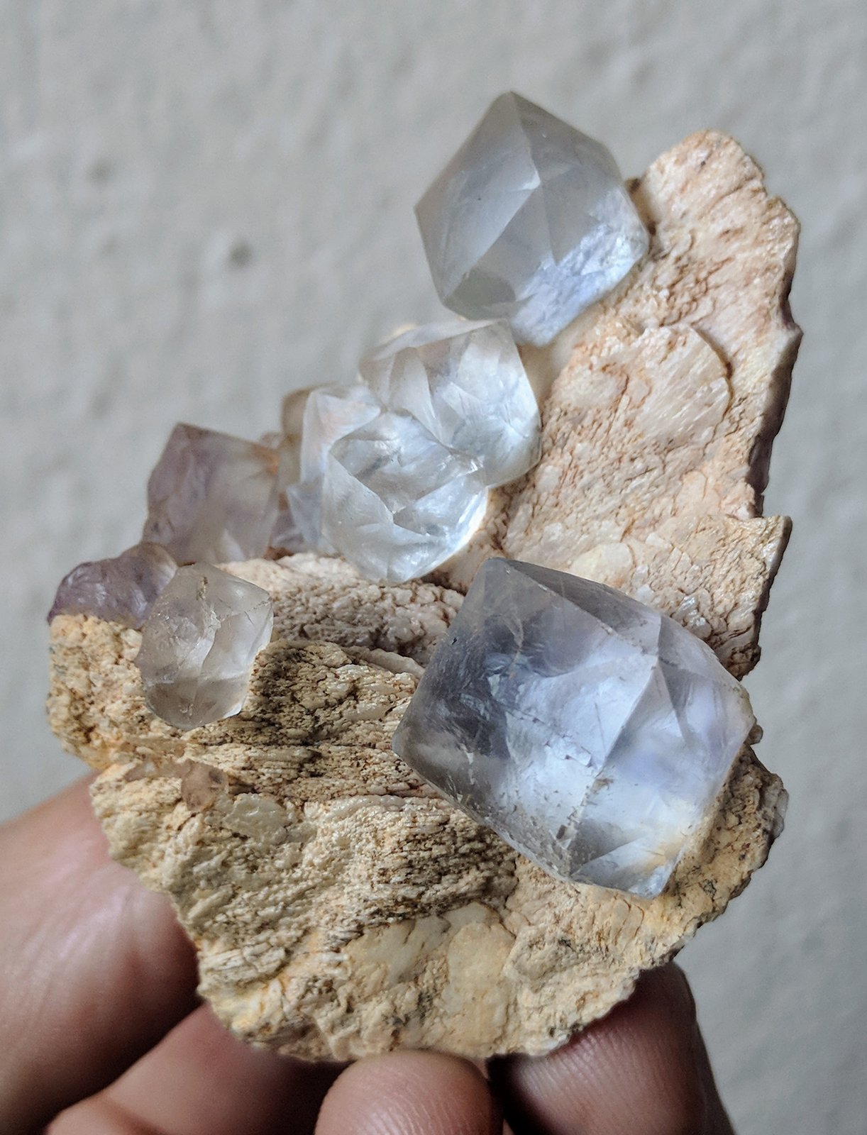 Fluorita, Barita
4,5 x 5,3 cm.
(Autor: carles)