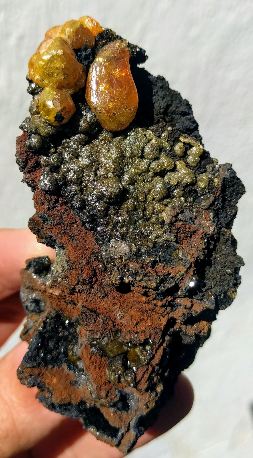 Vanadinita, Mottramita
9,5 x 5,2 cm.
(Autor: carles)