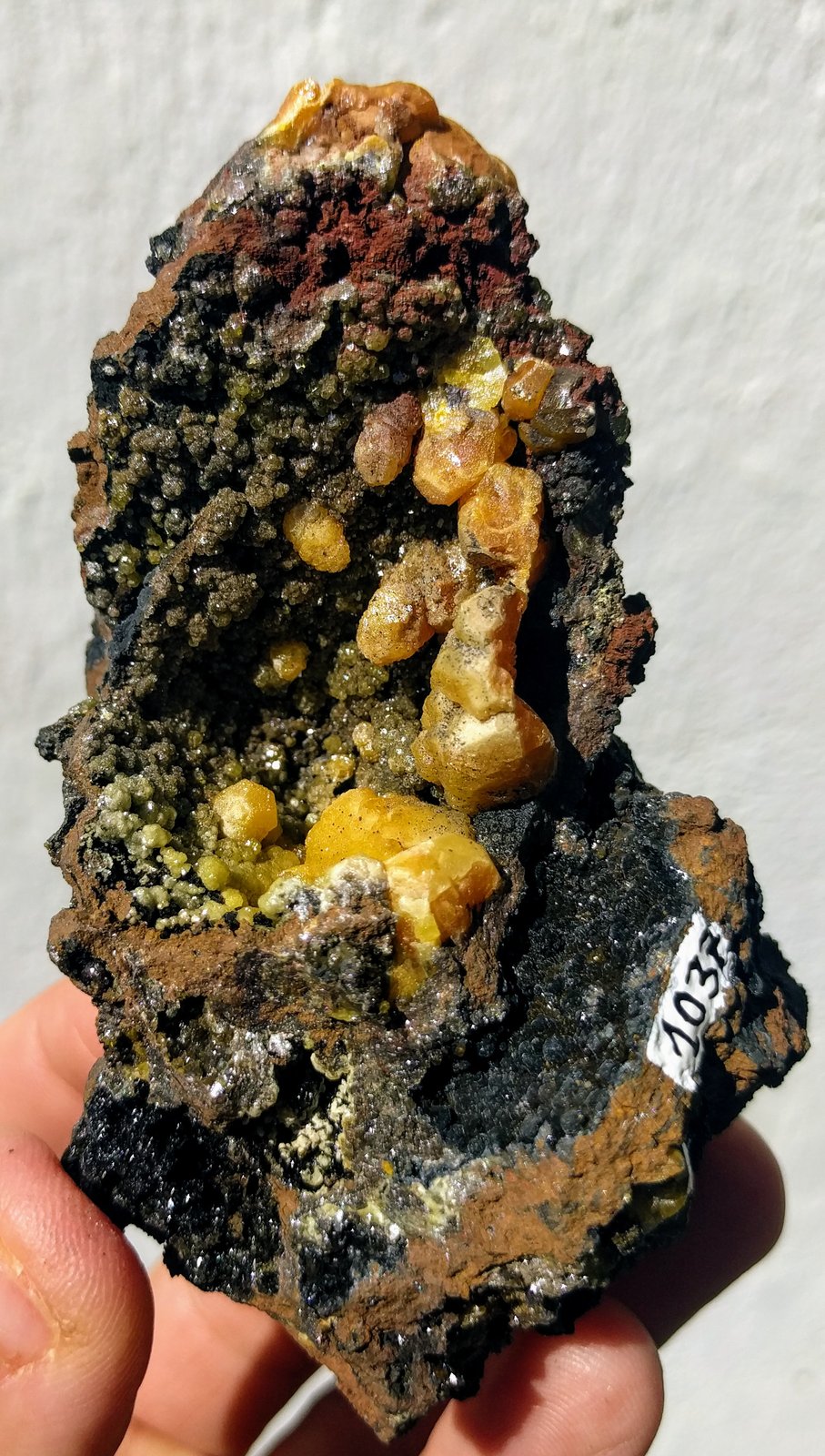 Vanadinita, Mottramita
9,5 x 5,2 cm.
(Autor: carles)