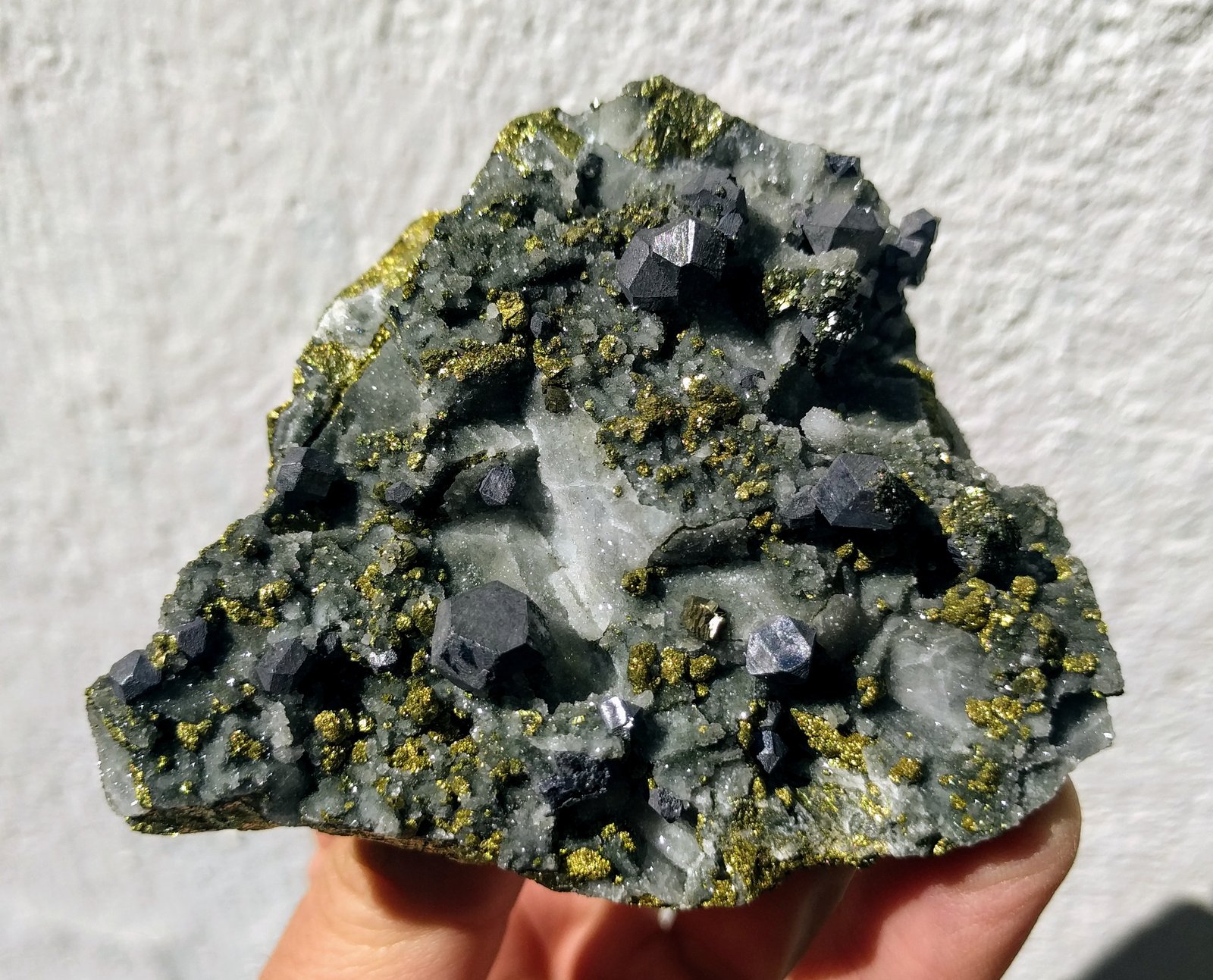 Galena, Calcopirita
8,8 x 7,0 cm.
(Autor: carles)