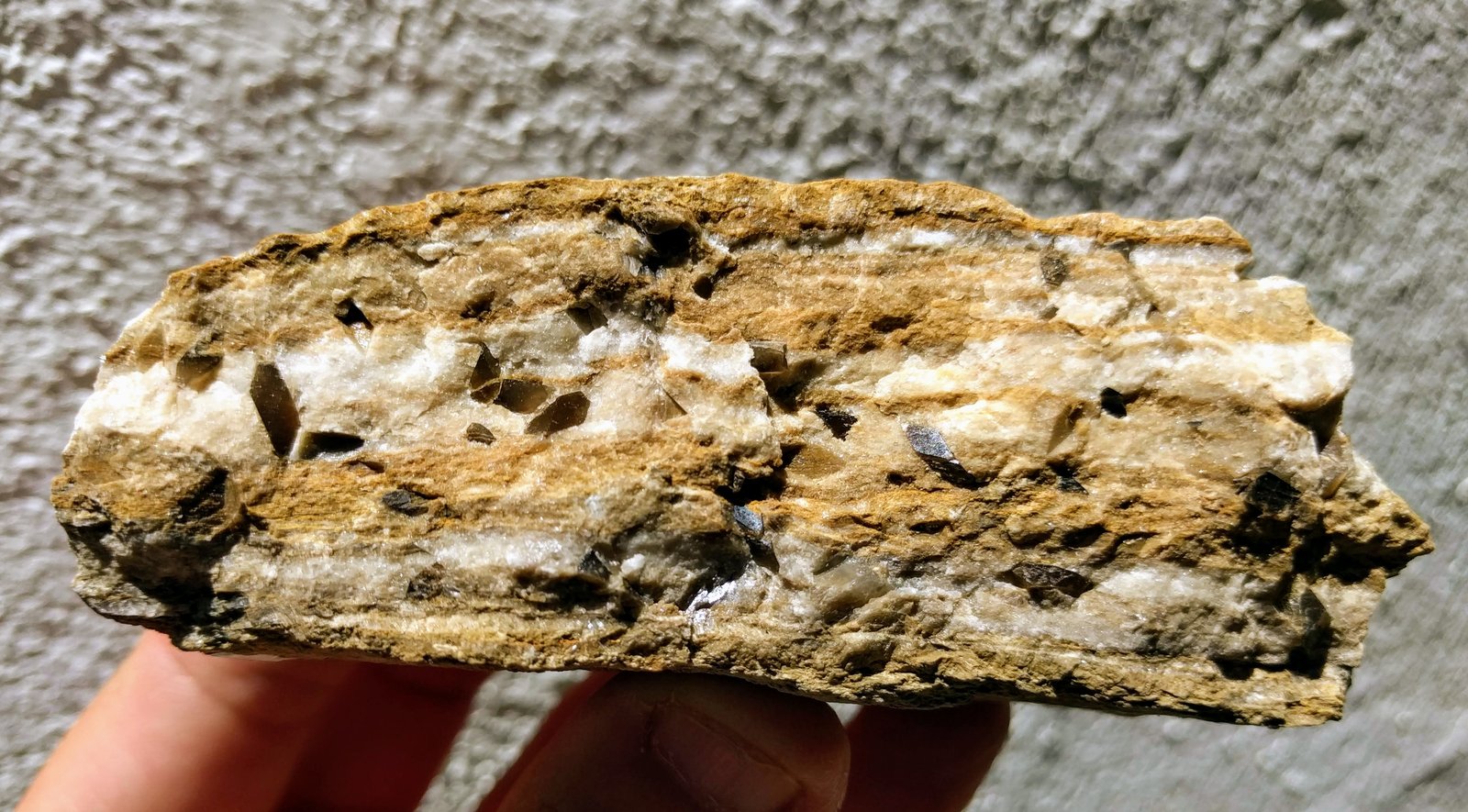 Dolomita (variedad teruelita)
10,5 x 4,0 cm.
(Autor: carles)