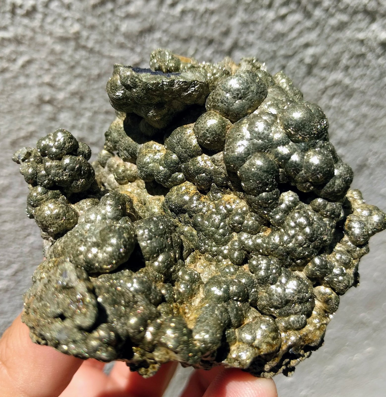 Pirita
7,0 x 6,7 cm.
(Autor: carles)
