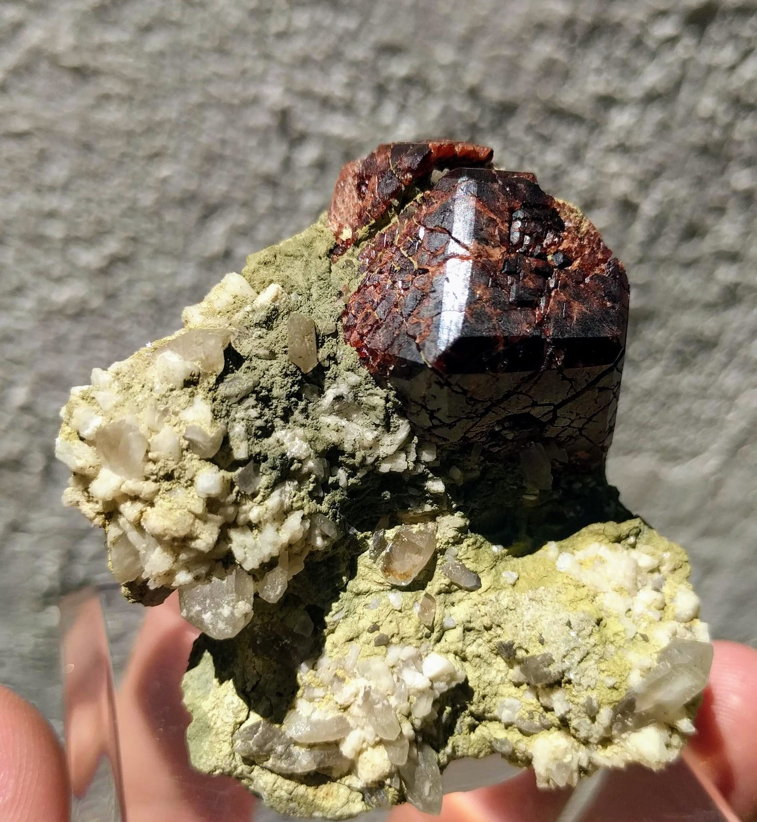 Granate (grupo), Albita, Microclina, Cuarzo (variedad ahumado)
5,0 x 4,7 cm.
(Autor: carles)