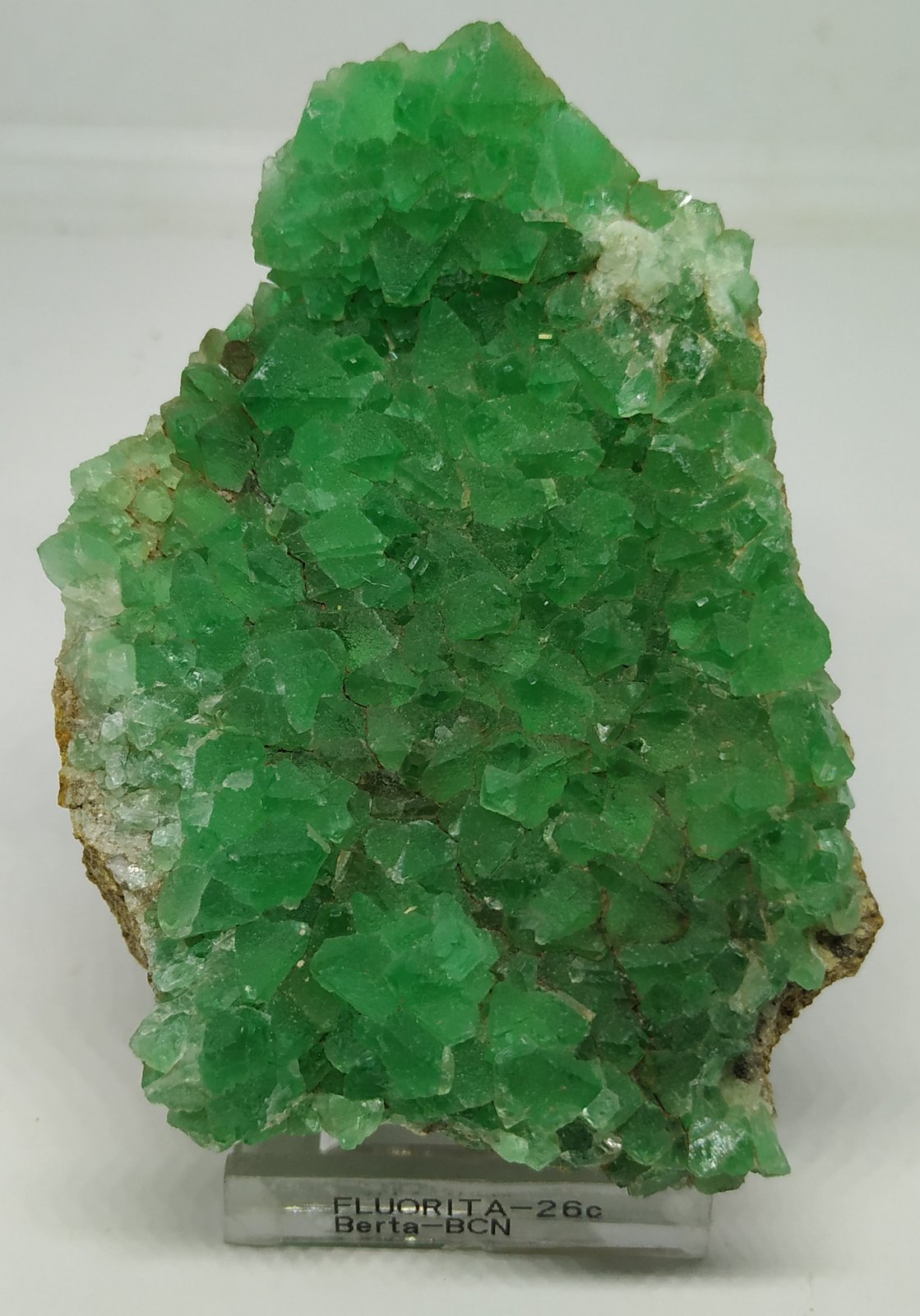 Fluorita
9x6,5cm
(Autor: Adri Rodríguez)