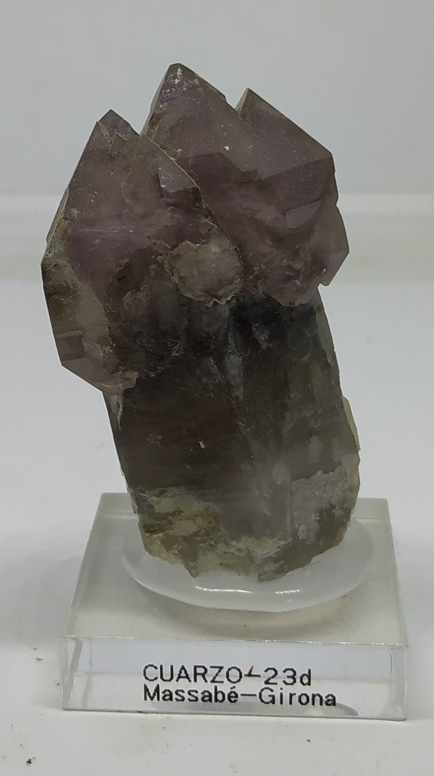 Cuarzo (variedad amatista), Cuarzo (variedad ahumado)
6x3,5cm
(Autor: Adri Rodríguez)