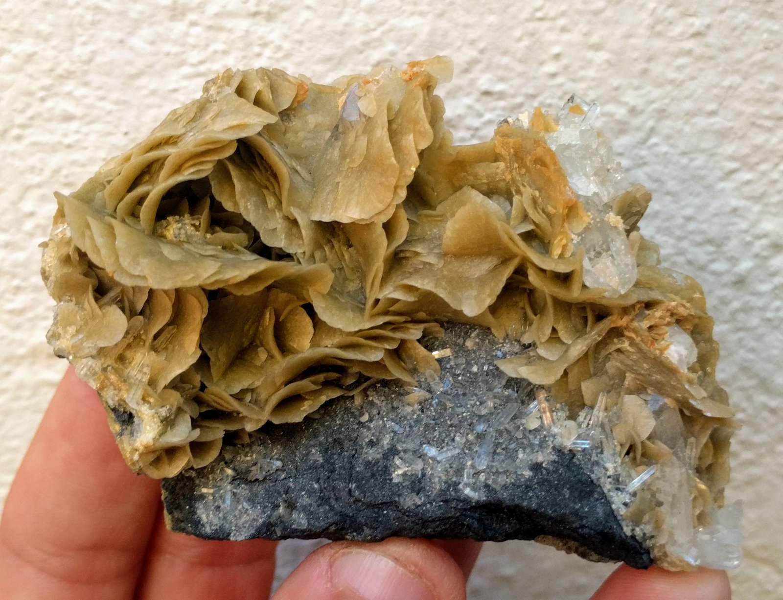 Siderita, Cuarzo
8,5x6,0x4,5 cm.
(Autor: carles)