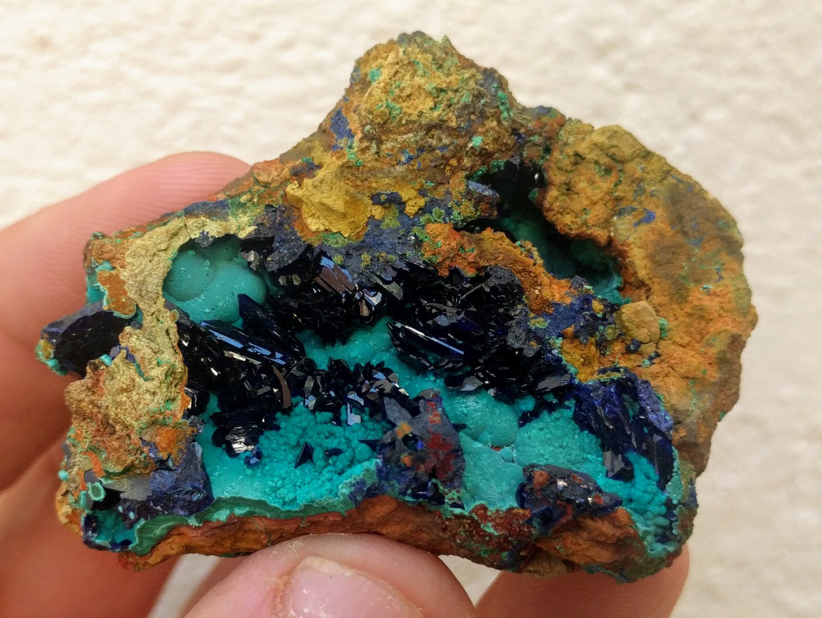 Azurita, Malaquita
5,5 x 4,3 cm.
(Autor: carles)