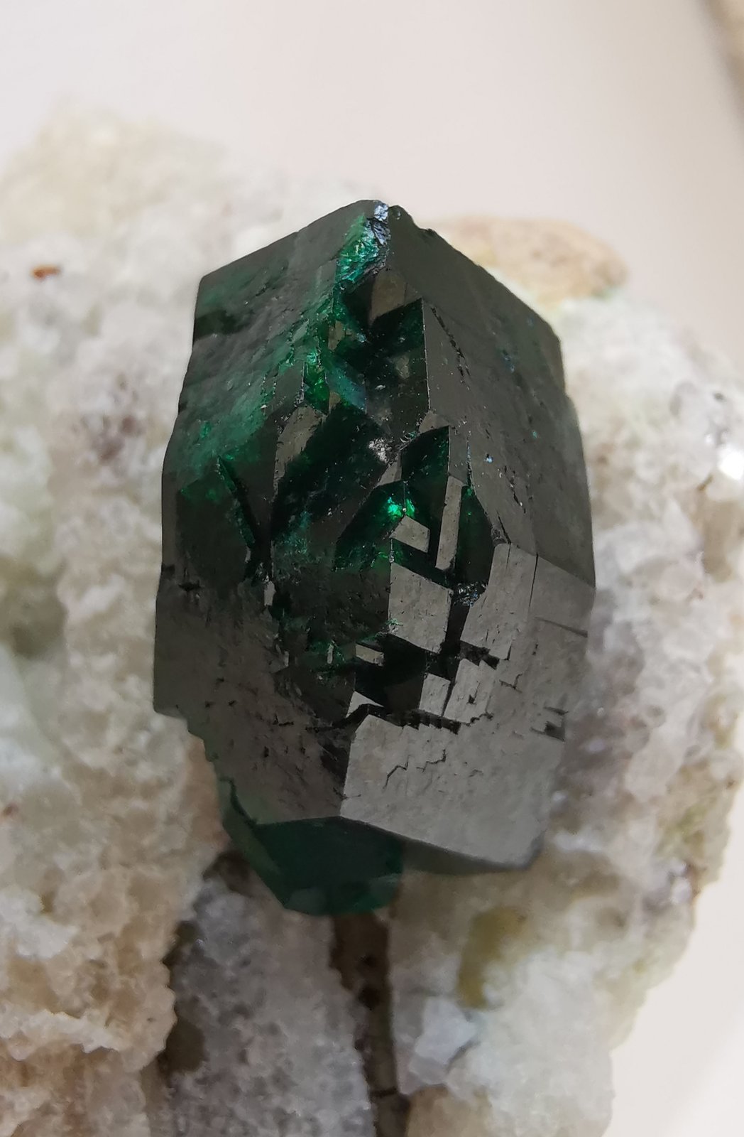 Dioptasa
6 x 5 cm
(Autor: Diego Navarro)