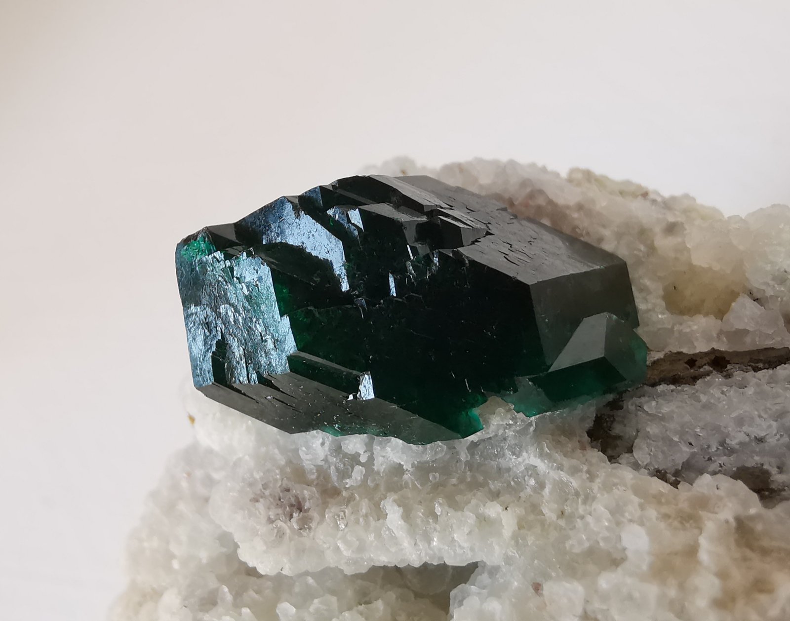 Dioptasa
6 x 5 cm
(Autor: Diego Navarro)